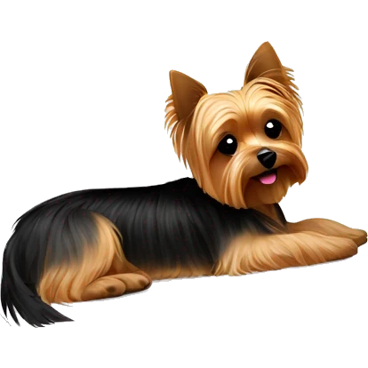 Yorkie laying on the pillow  emoji