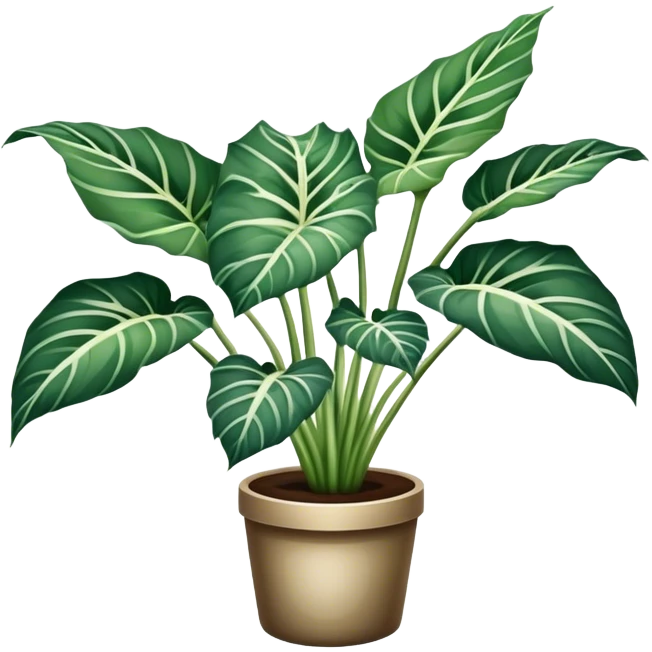 variegated white alocasia emoji