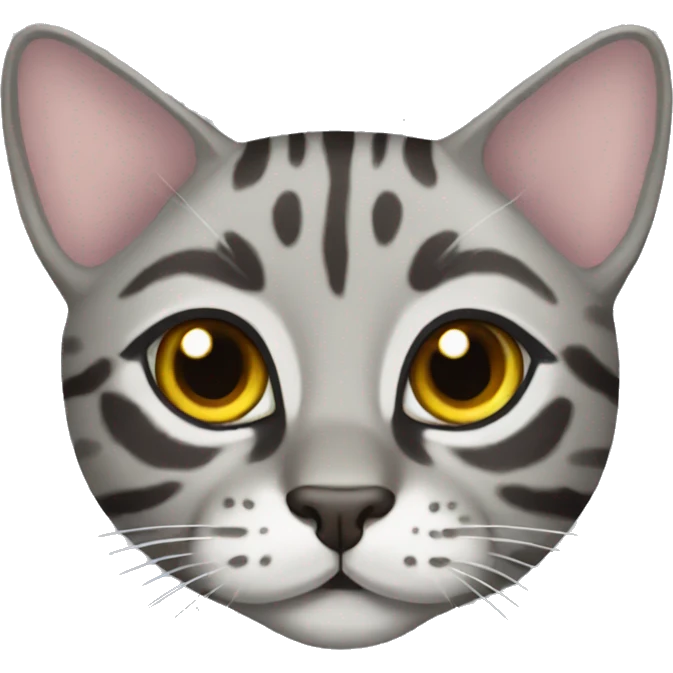 Grey Bengal cat emoji