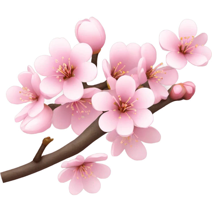 Light pink cherry blossom  emoji