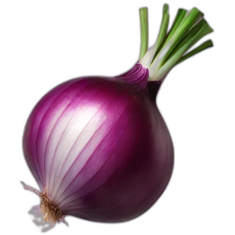 red onion emoji