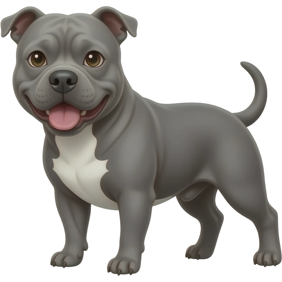 Grey Pitbull boy with a white chest emoji