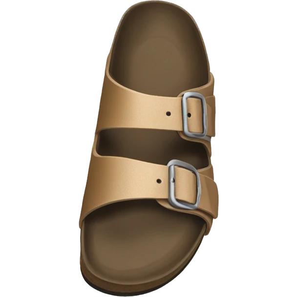 birkenstock bostons emoji