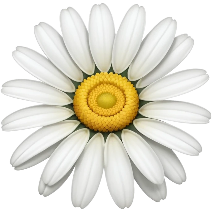 One white daisy flower emoji