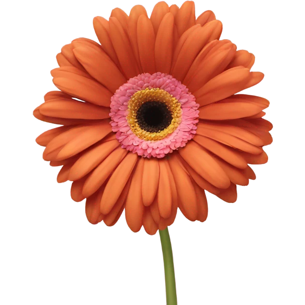 Gerbera daisy emoji
