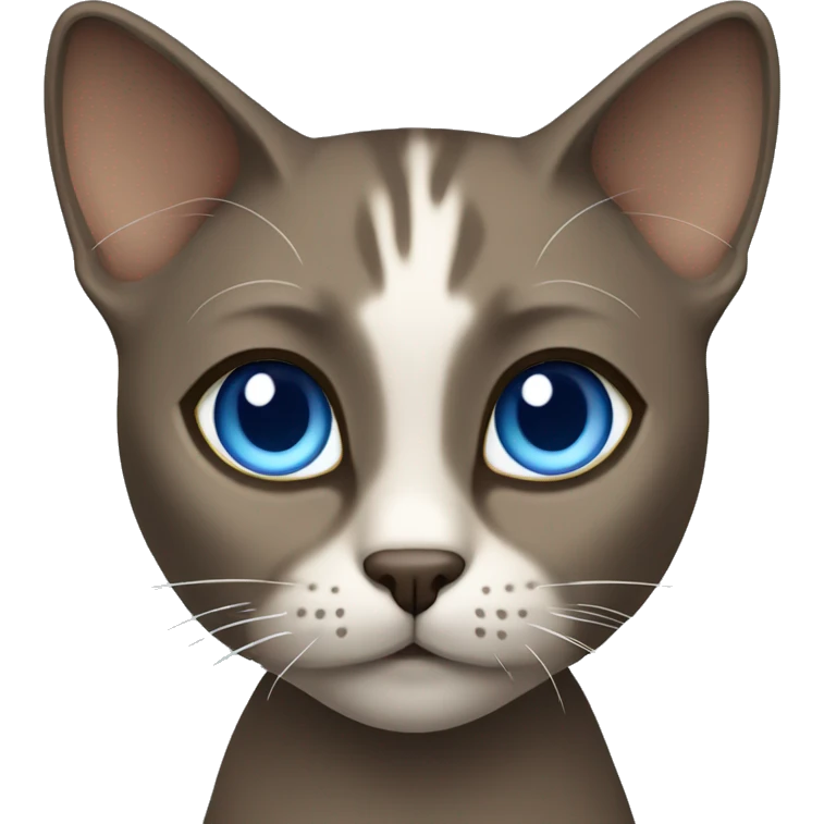 Dark Brown face - beige body and ears female thai cat with blue eyes  emoji