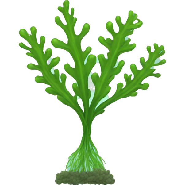seaweed emoji