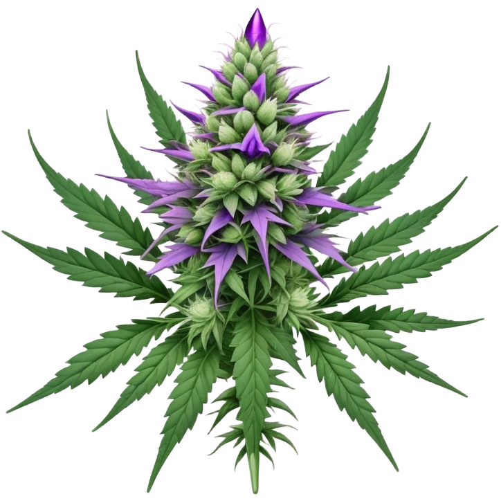Cannabis plant with purple buds, crystal trichomes, and small wedding elements, wedding crasher strain emoji