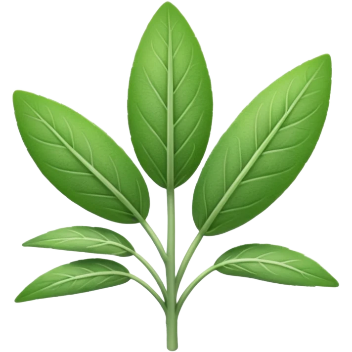 sage herb emoji
