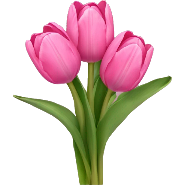 Pink tulip bouquet  emoji