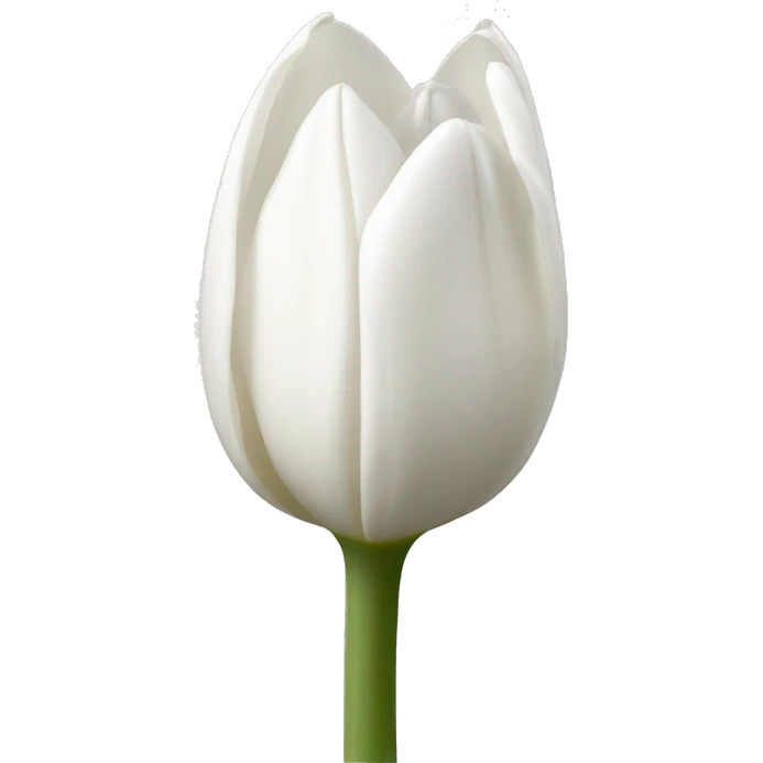 One white tulip flower emoji