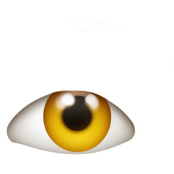 Pair of eyes emoji
