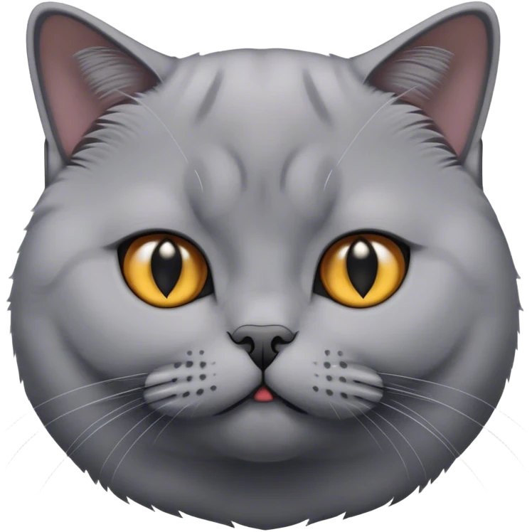 british cat emoji