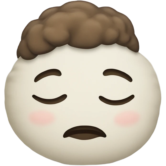 pillow with a sleepy head on it emoji