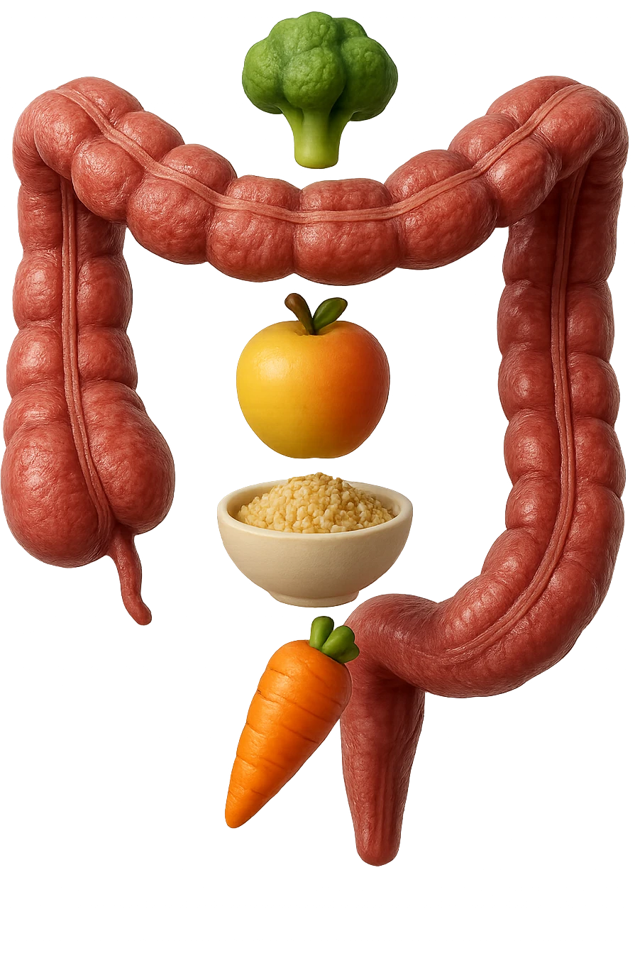 emoji stile iphone in 3d di cibo sano che fluttua in aria vericalmente insieme a pezzi di colon umano anatomico, iperrealistico 4k emoji