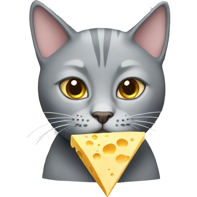 Grey cat with cheese emoji