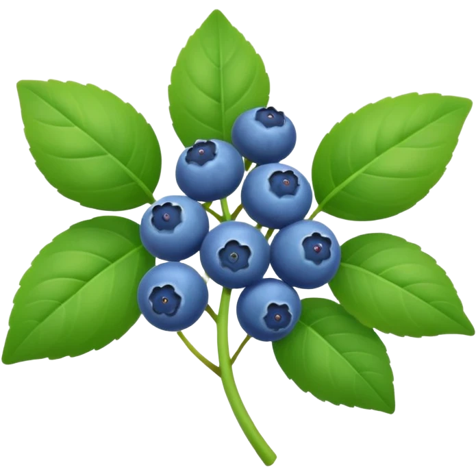 blueberry plant emoji