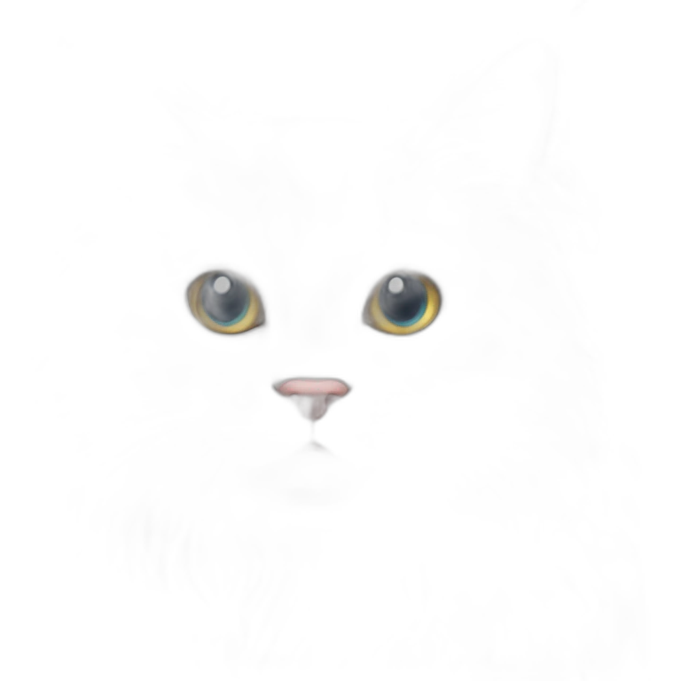 white-maine-coon-kitten emoji