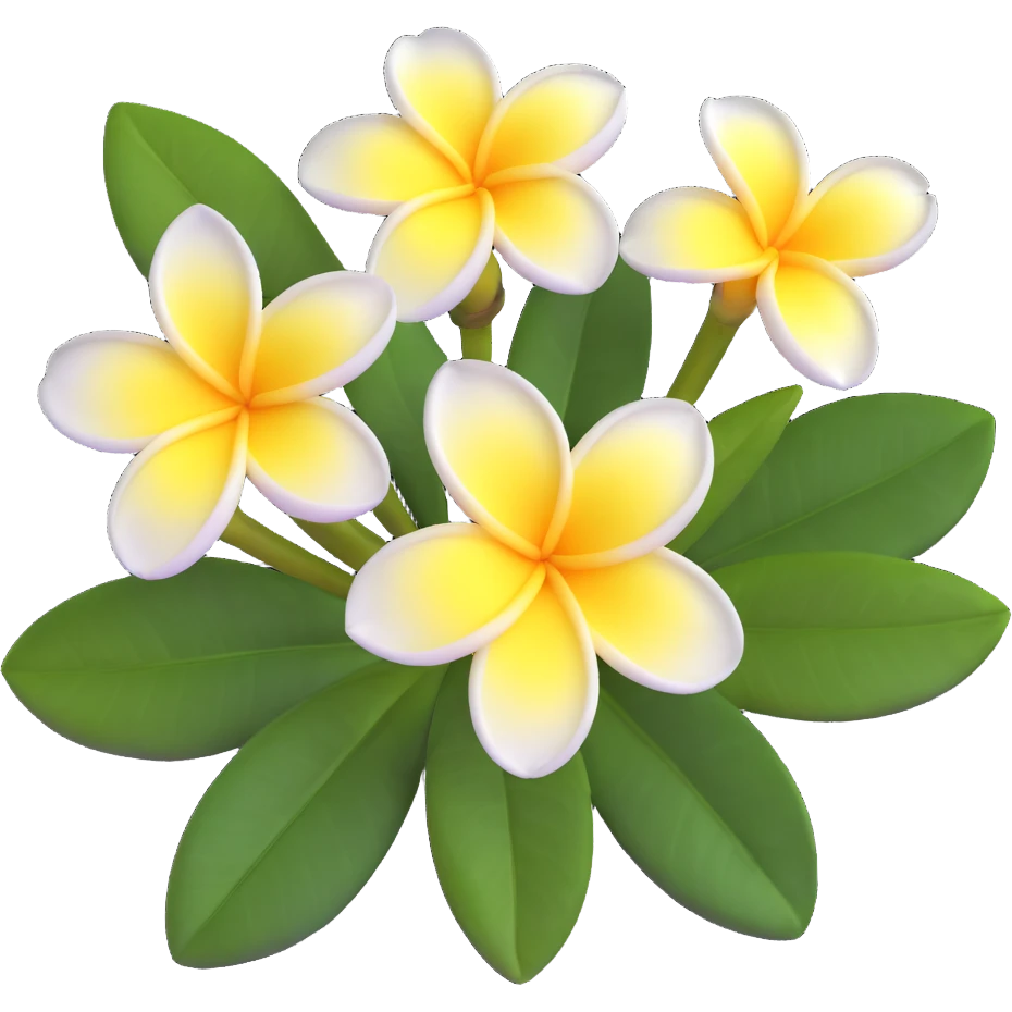 plumeria flower with five white petals and yellow center emoji
