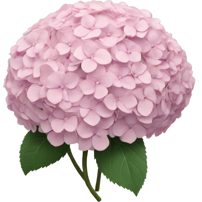 Hydrangeas pastel pink bouquet emoji