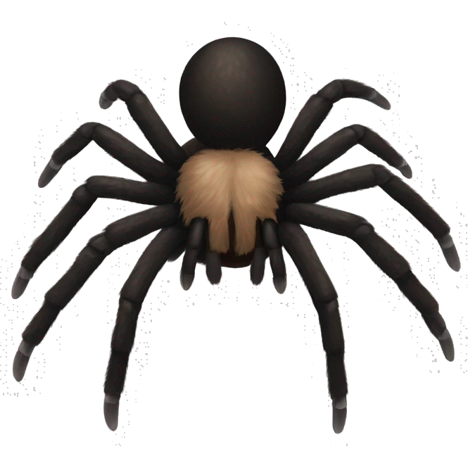 black and brown tarantula with a white bow  emoji