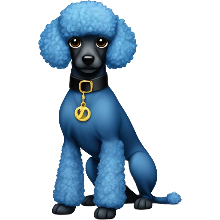 A blue miniature poodle that hasn’t really gone through the coat change yet. A shaved face with a black Versace collar emoji