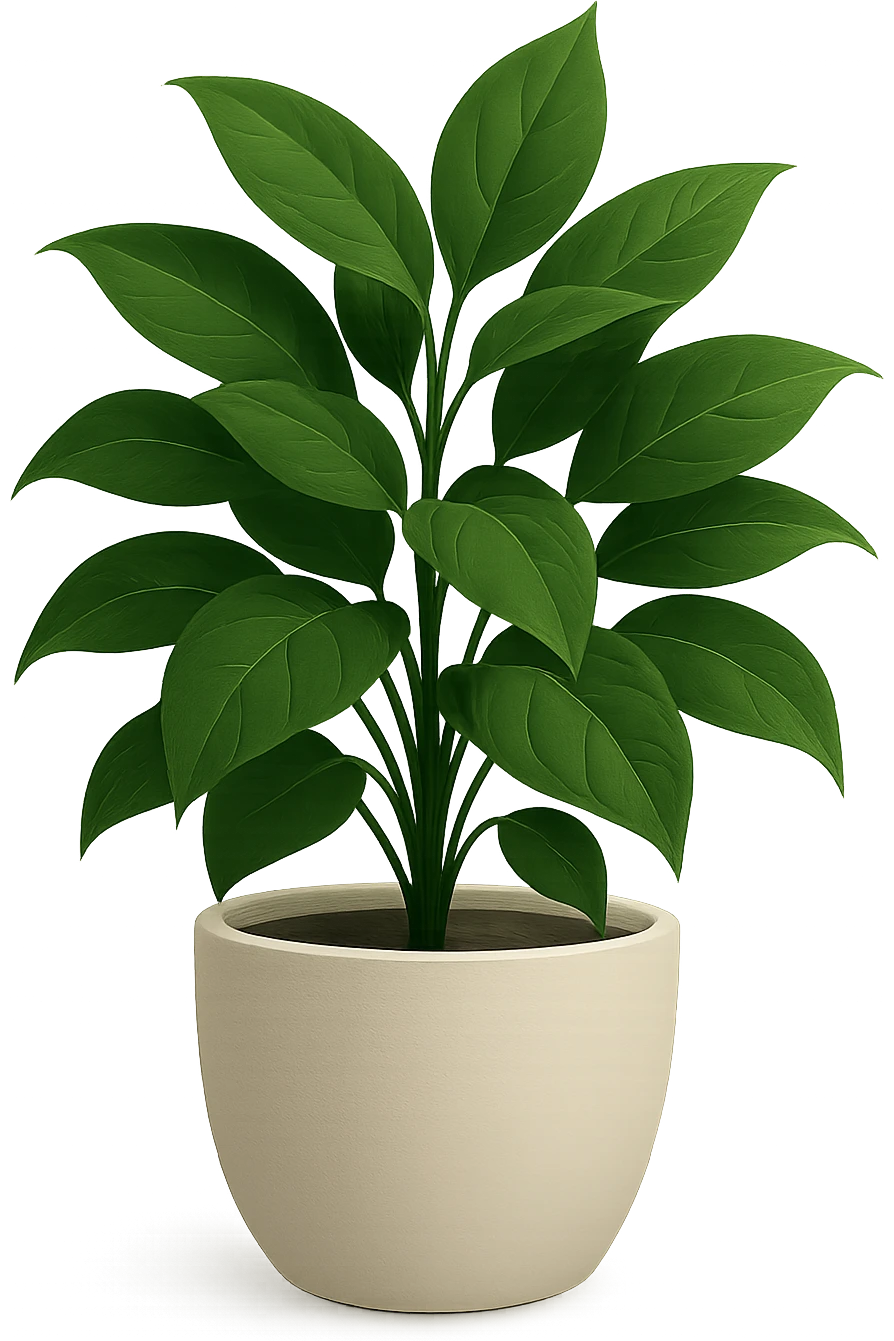 aesthetic potted plant emoji