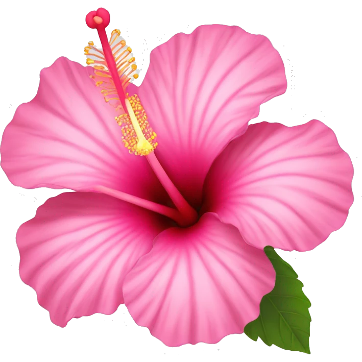 hibiscus flower pink emoji