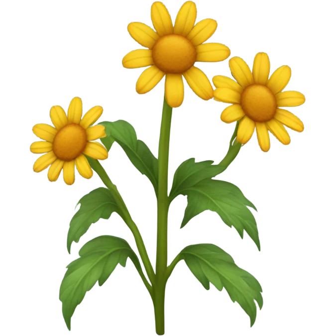 Arnica plant  emoji