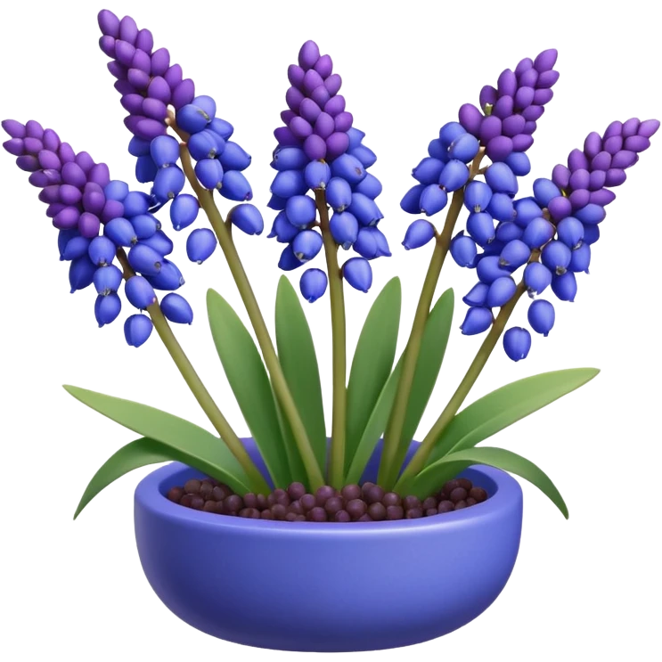 3d rending Realistic Still life, Grape Hyacinth Muscari emoji
