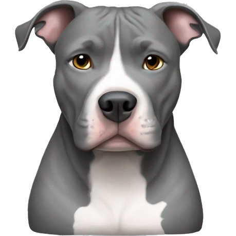 Gray Pitbull laying emoji