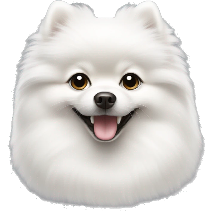 Most pure White pomeranian with smile with black eye emoji