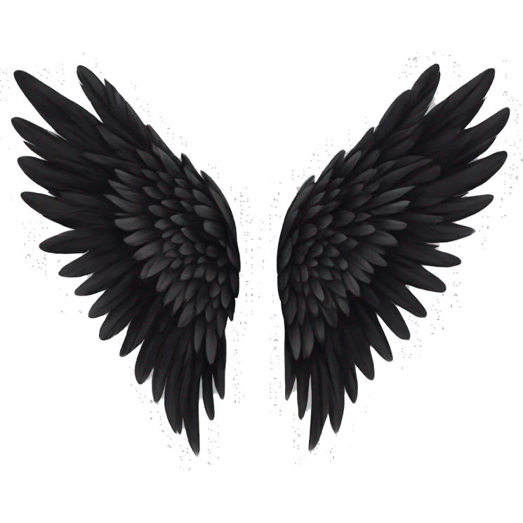 Victoria’s Secret wings black  emoji