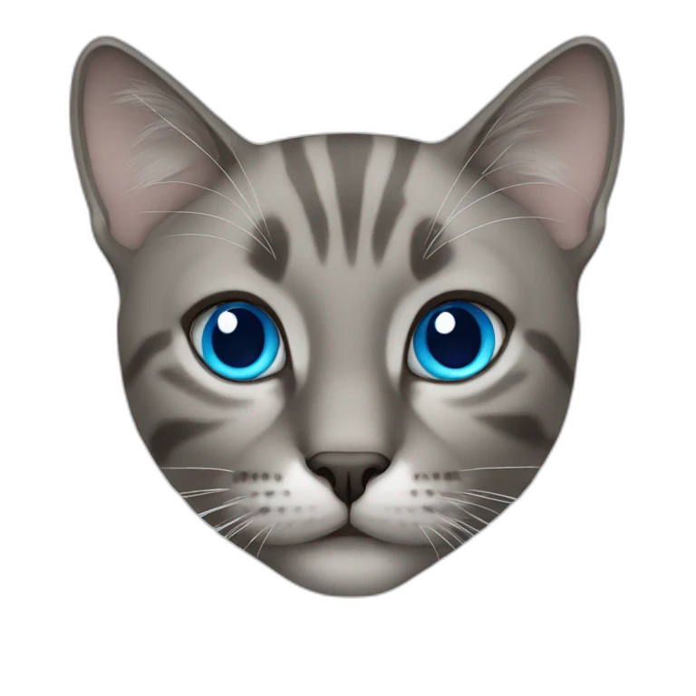 cat with blue eyes emoji