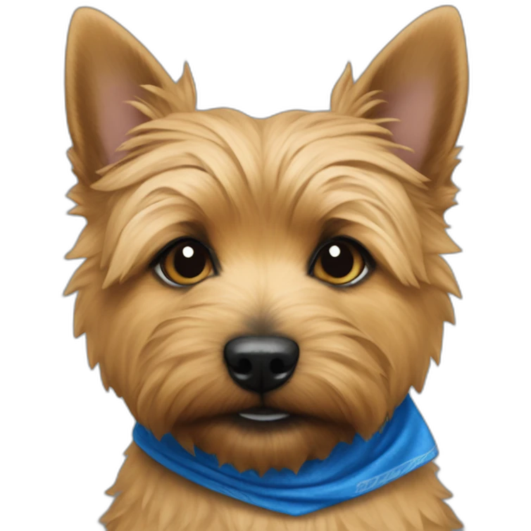 norwich terrier with blue bandana that says, "Law Dog" emoji