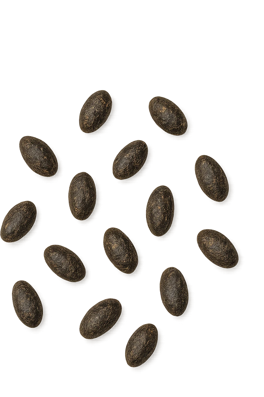 FECI DI ANIMALE A PALLINI LEGGERMENTE ALLUNGATI emoji