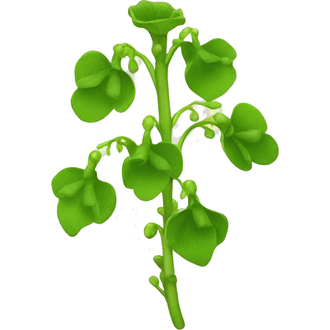 bells of ireland plant emoji