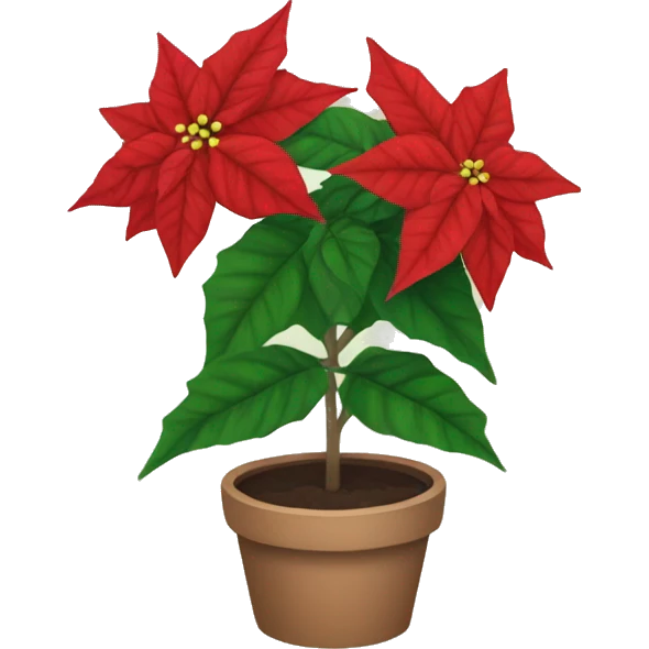 Poinsettia  emoji