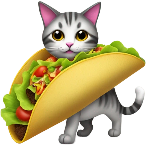 Cat wearing a taco costume  emoji