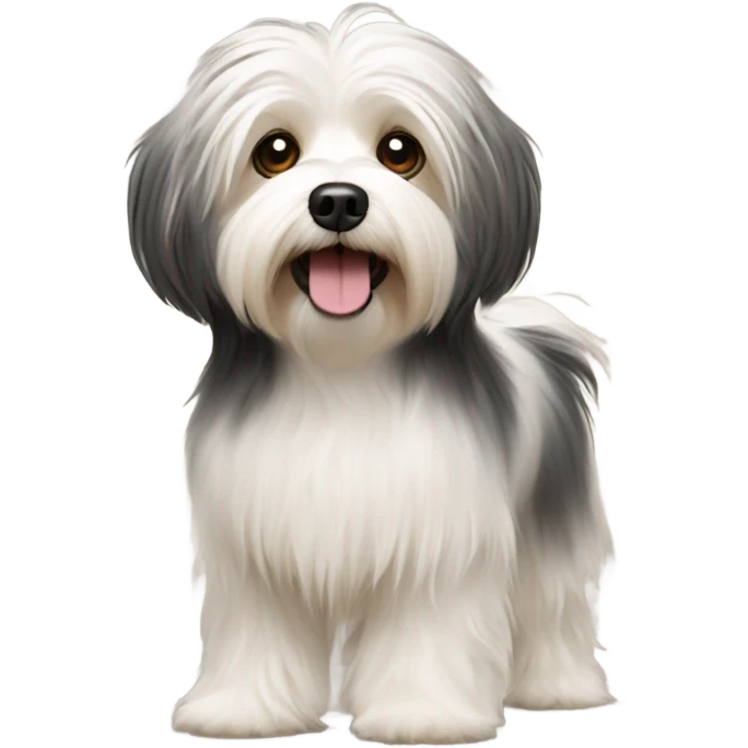 havanese dog walk hair down to the floor emoji