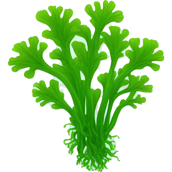 seaweed emoji