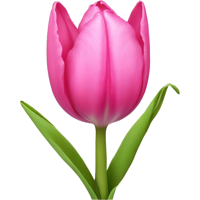 Pink tulip  emoji