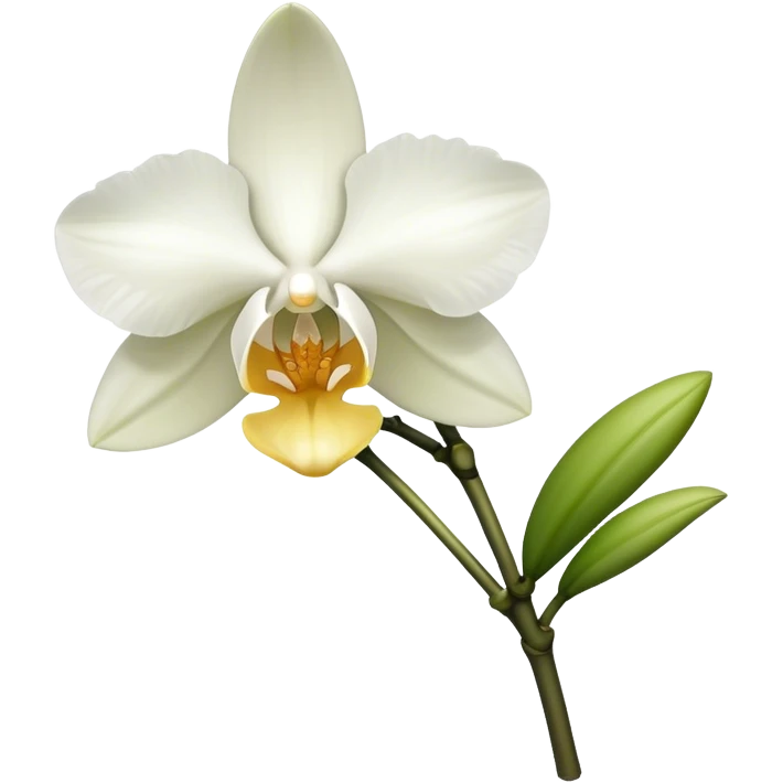 single white Dendrobium Orchid stem emoji