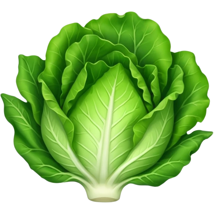 lettuce one  leaf  emoji