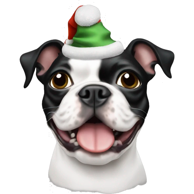 Boston terrier Christmas hat emoji