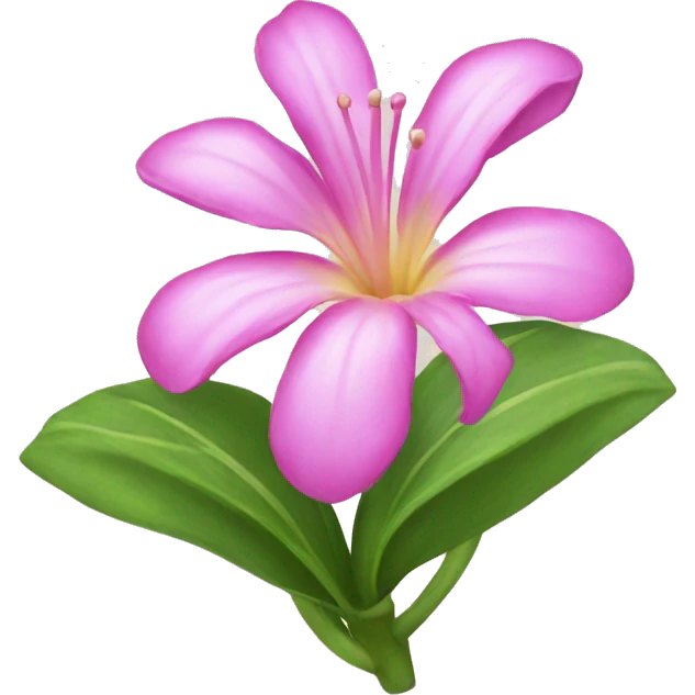 hawaii flower emoji