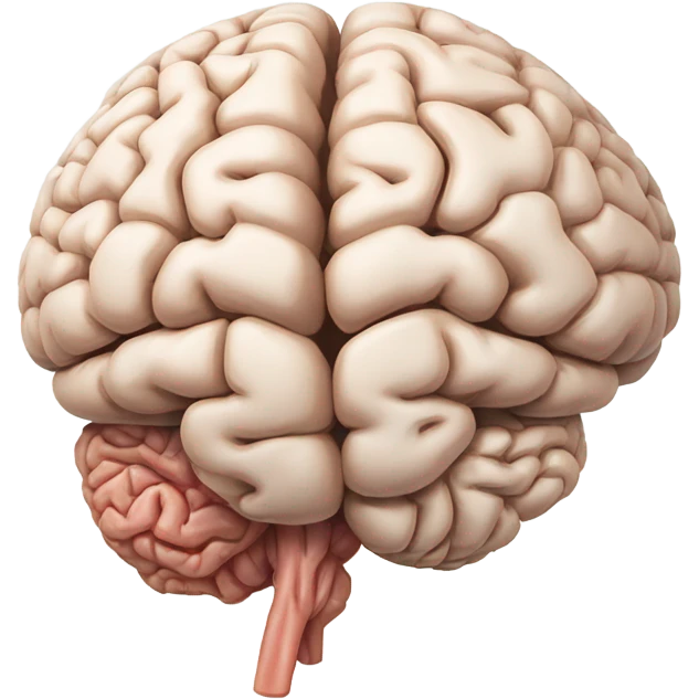 brain medical image emoji