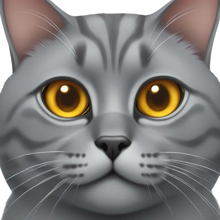 British grey cat with big beautiful amber eyes emoji