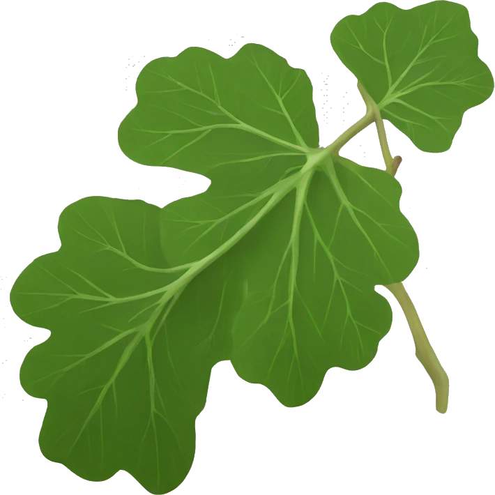 fig leaf emoji