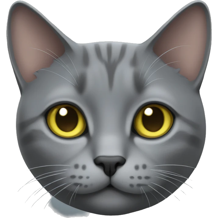 Grey Chartreux cat emoji